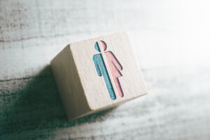 Ein Holzwürfel zeigt die Hälfte einer hellblauen männlichen und einer rosafarbenen weiblichen Symbolfigur. Die beiden Hälften sind zu einer Figur zusammengesetzt und durch einen Strich in der Mitte getrennt.